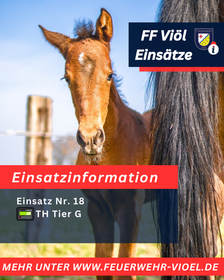 🚨Einsatz 18/2025, TH Tier G